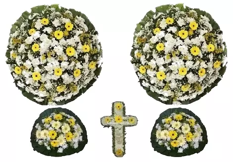 conjunto coroa de flores CA3