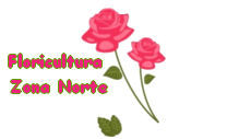 Floricultura Zona Norte
