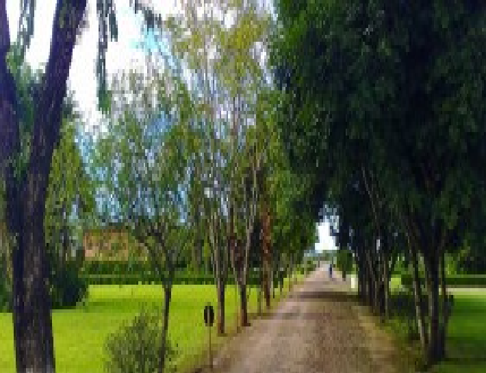 Centro de Fortaleza