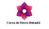 Coroa de Flores Butantã