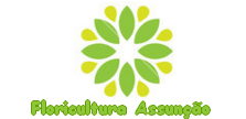 Floricultura Assunção