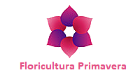 Floricultura Cemiterio Primavera