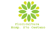 Floricultura Hospital São Caetano