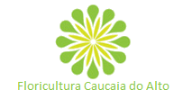 Floricultura Caucaia do Alto