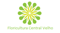 Floricultura Cemiterio Central Velho