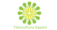 Floricultura Itapevi