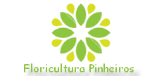 Floricultura Pinheiros São Paulo