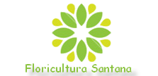 Floricultura Santana São Paulo