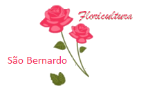 Floricultura São Bernardo